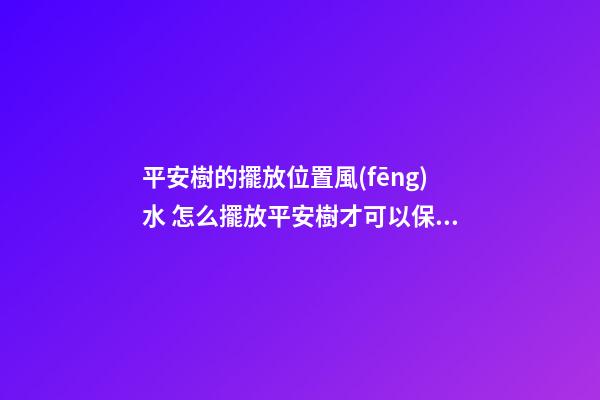 平安樹的擺放位置風(fēng)水 怎么擺放平安樹才可以保平安
